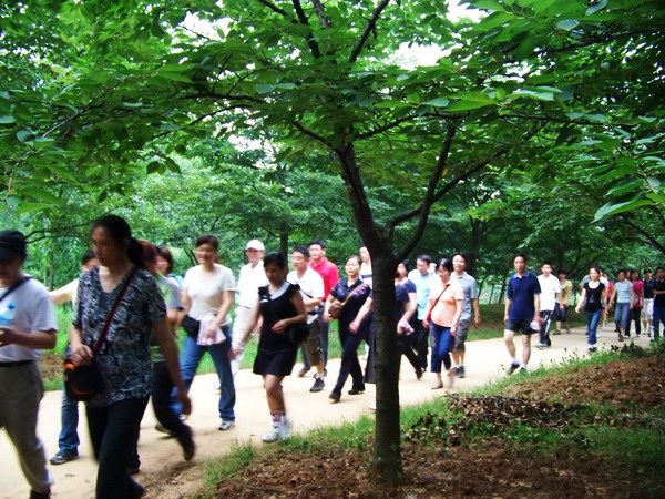 100_9121.jpg