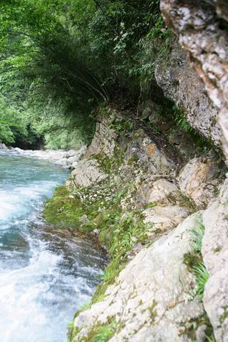 С img_2890.jpg