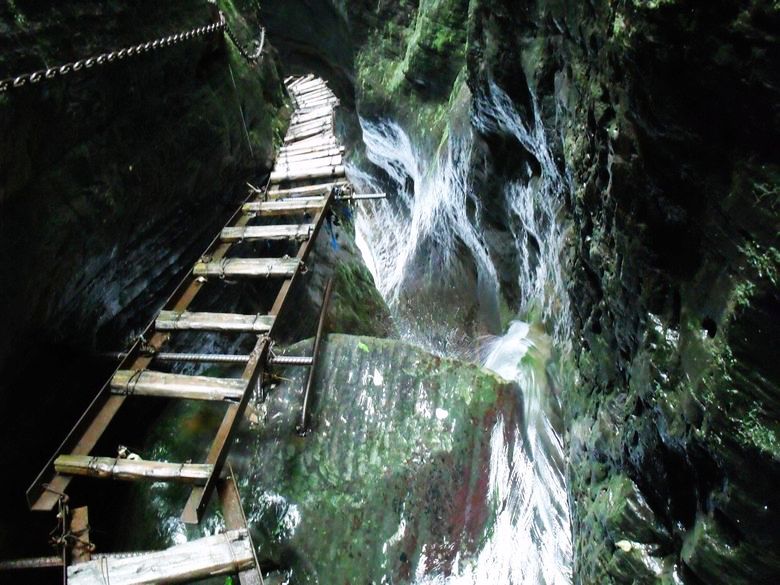 马拉河 090.jpg