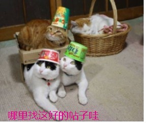 δ.jpg