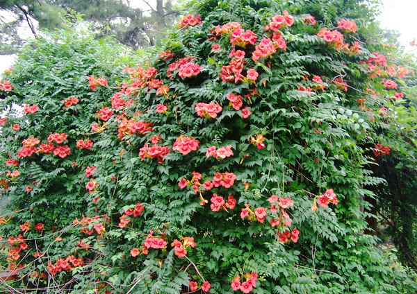 100_8673.jpg
