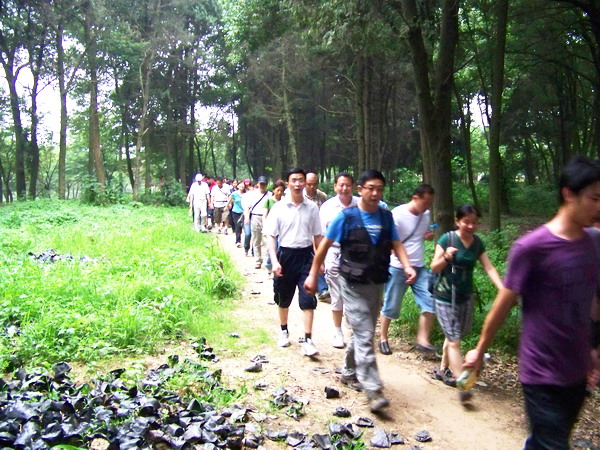 100_9122.jpg