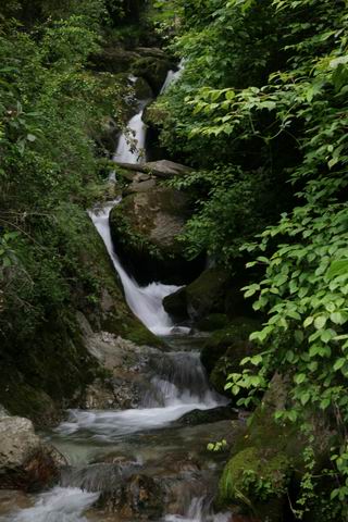 С img_3018.jpg