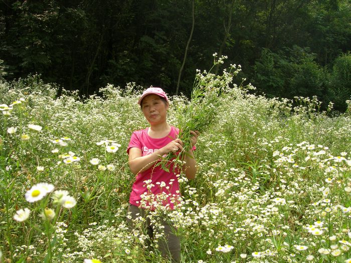 dscn8712.jpg