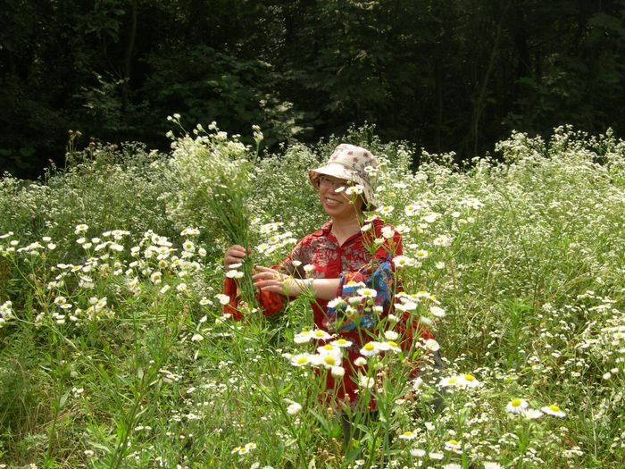 dscn8718.jpg