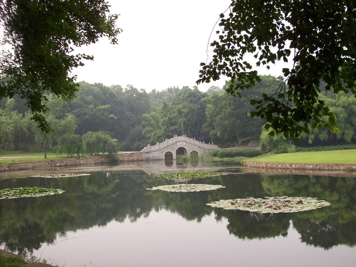 100_4169.jpg