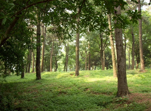 100_4171.jpg