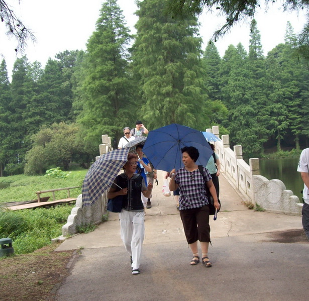 100_4186.jpg