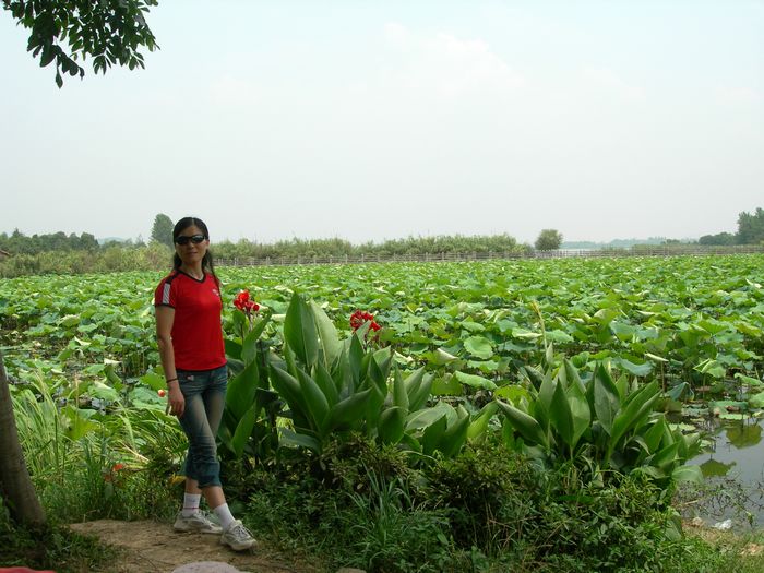 dscn8756.jpg
