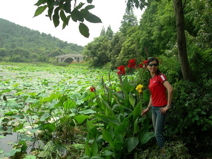 dscn8749.jpg