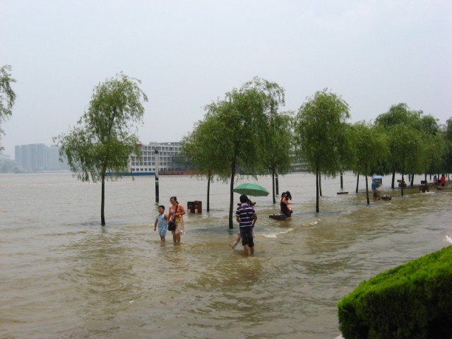 100_0320 .jpg