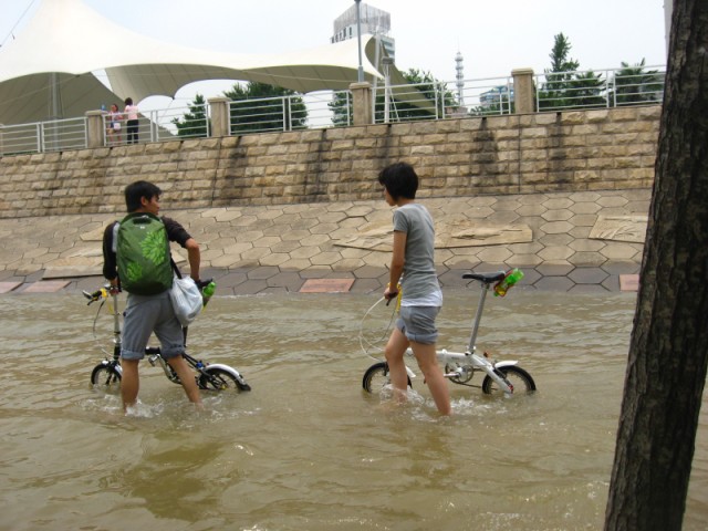 100_0354 .jpg