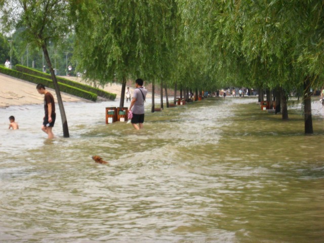 100_0370 .jpg