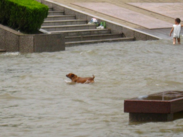 100_0371 .jpg