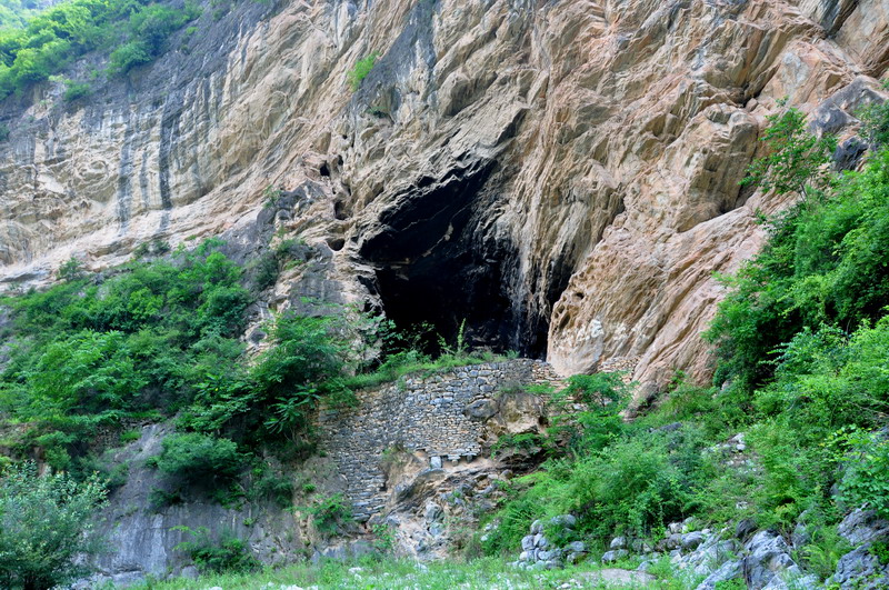 dsc_0107ʱ.jpg