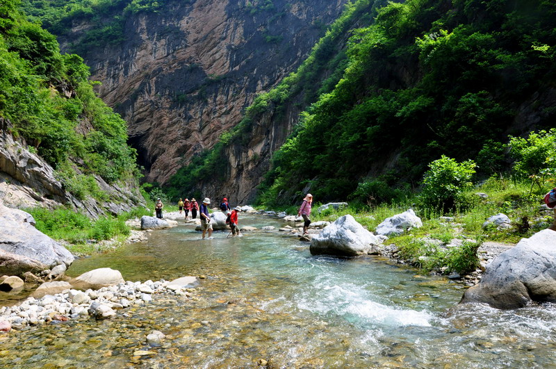 dsc_0109Ϫ.jpg