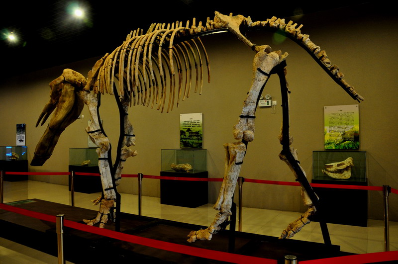 dsc_0551.jpg
