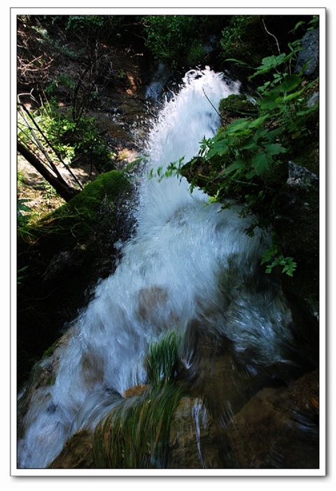 dsc_0263.jpg