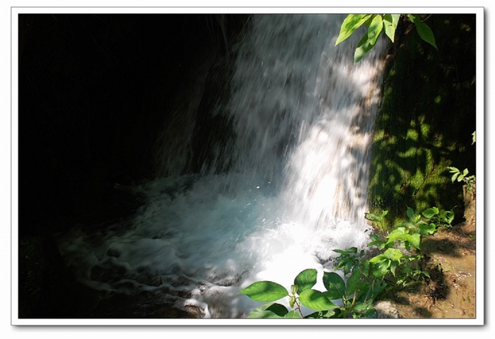 dsc_0224.jpg