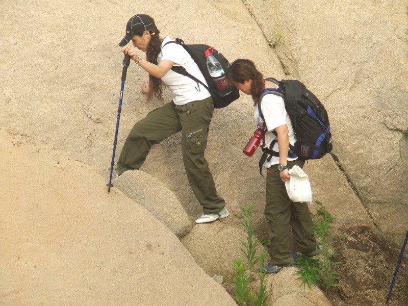 dscf1812.jpg
