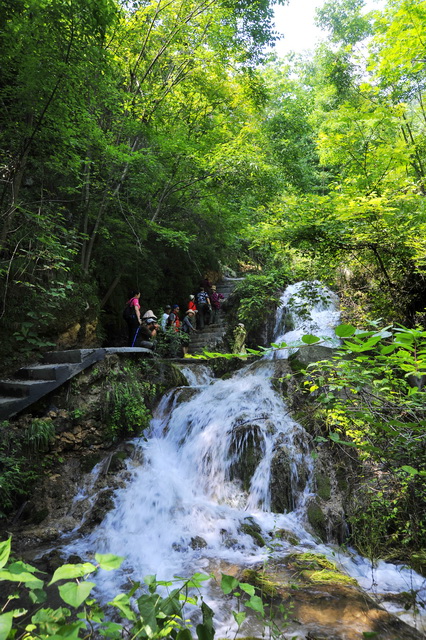 _dsc4371_С.jpg