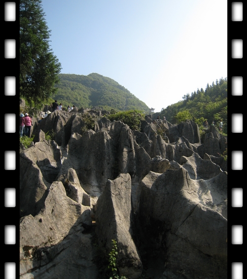 img_20001 (36).jpg