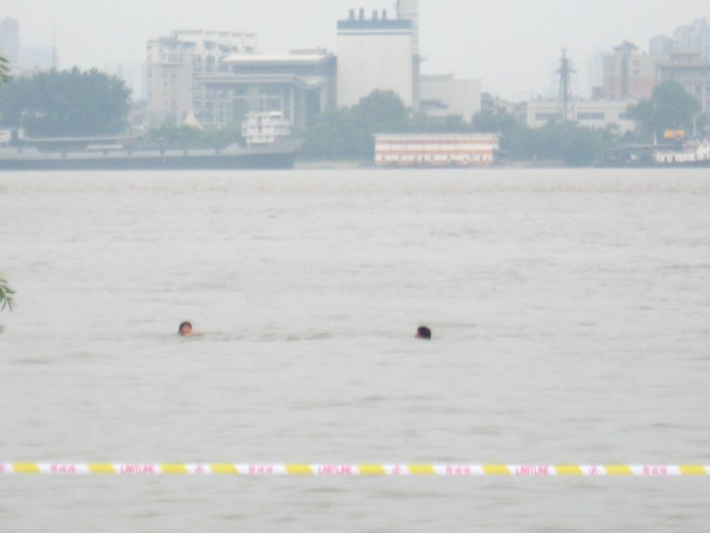100_0510 .jpg