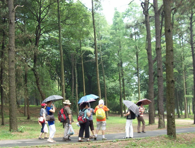 100_4185.jpg
