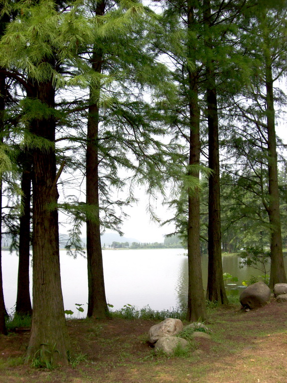 100_4237.jpg