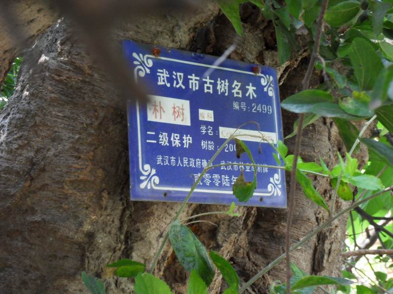 С sdc10310.jpg