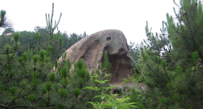20100626կ¶Ӫ 003.jpg