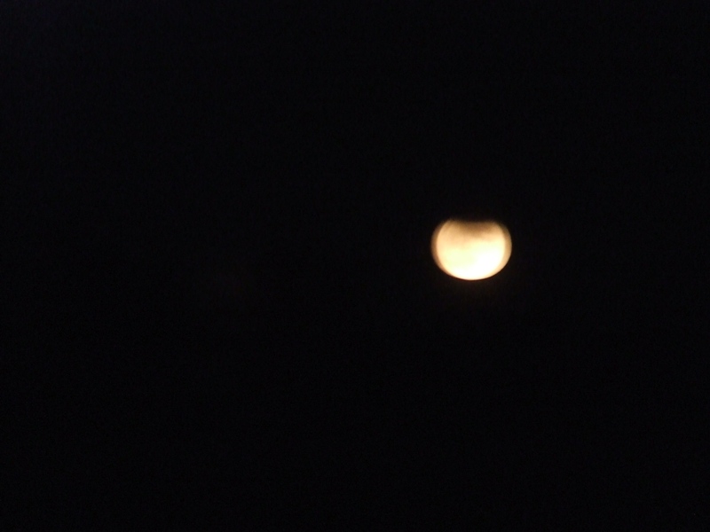 dscf1839.jpg