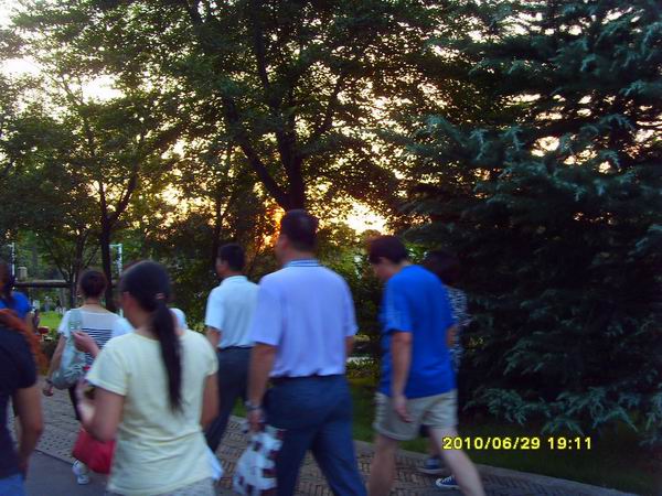 sdc16085.jpg