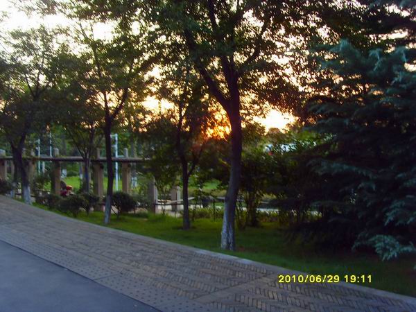 sdc16086.jpg