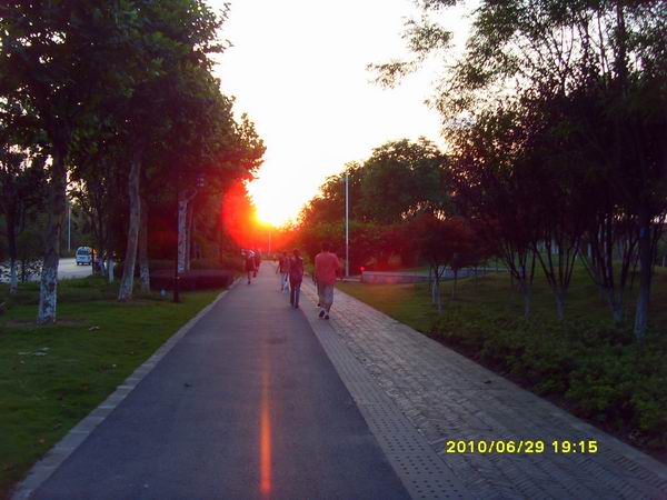 sdc16088.jpg