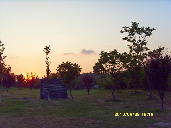 sdc16091.jpg