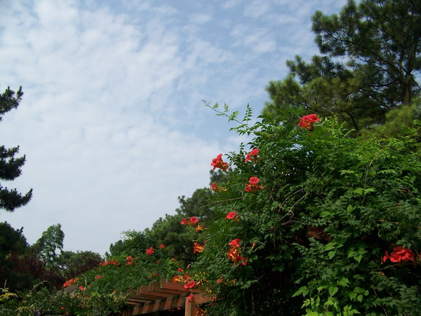 100_9190.jpg