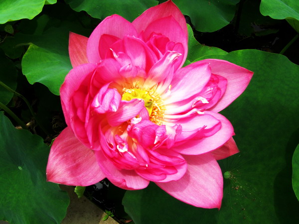 100_9395.jpg