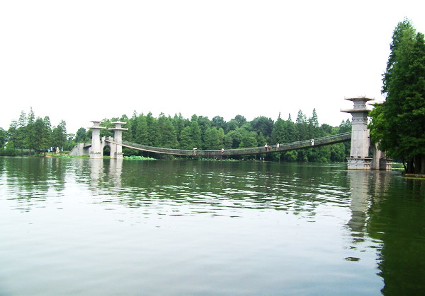 100_9310.jpg