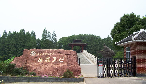100_9326.jpg