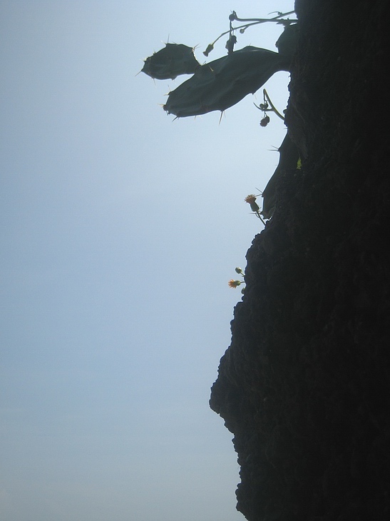 Ƭ 058.jpg
