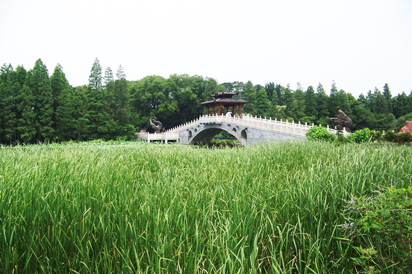 100_9327.jpg
