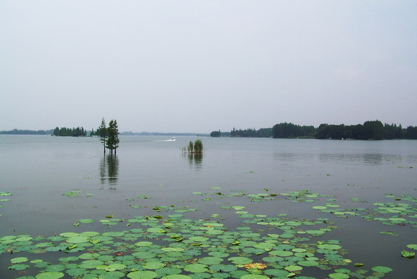 100_9330.jpg
