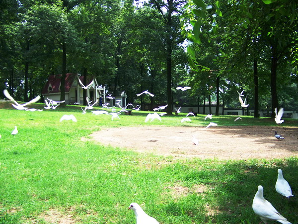 100_9596.jpg