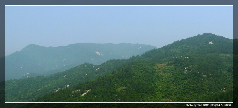 20100615_094547.jpg