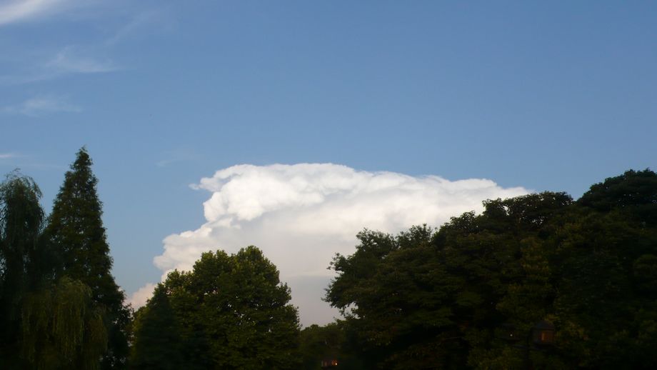 l1080086.jpg