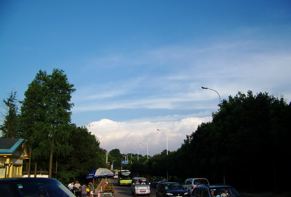 100_9615.jpg