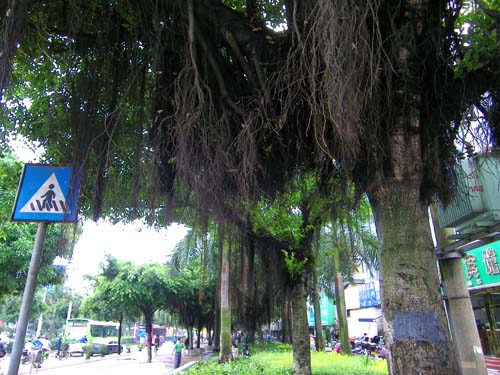 Ƭ 027.jpg