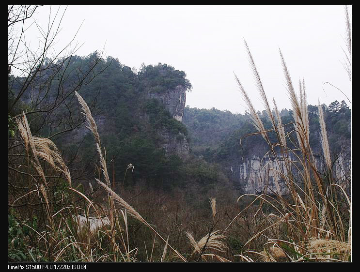 dscf4987.jpg