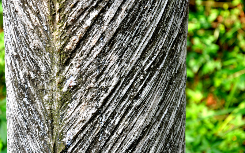 dsc_0015_.jpg